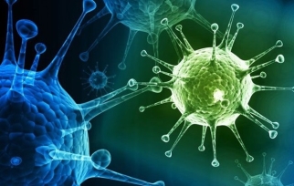 Вчені зняли на відео "народження" вірусів - Korrespondent.net